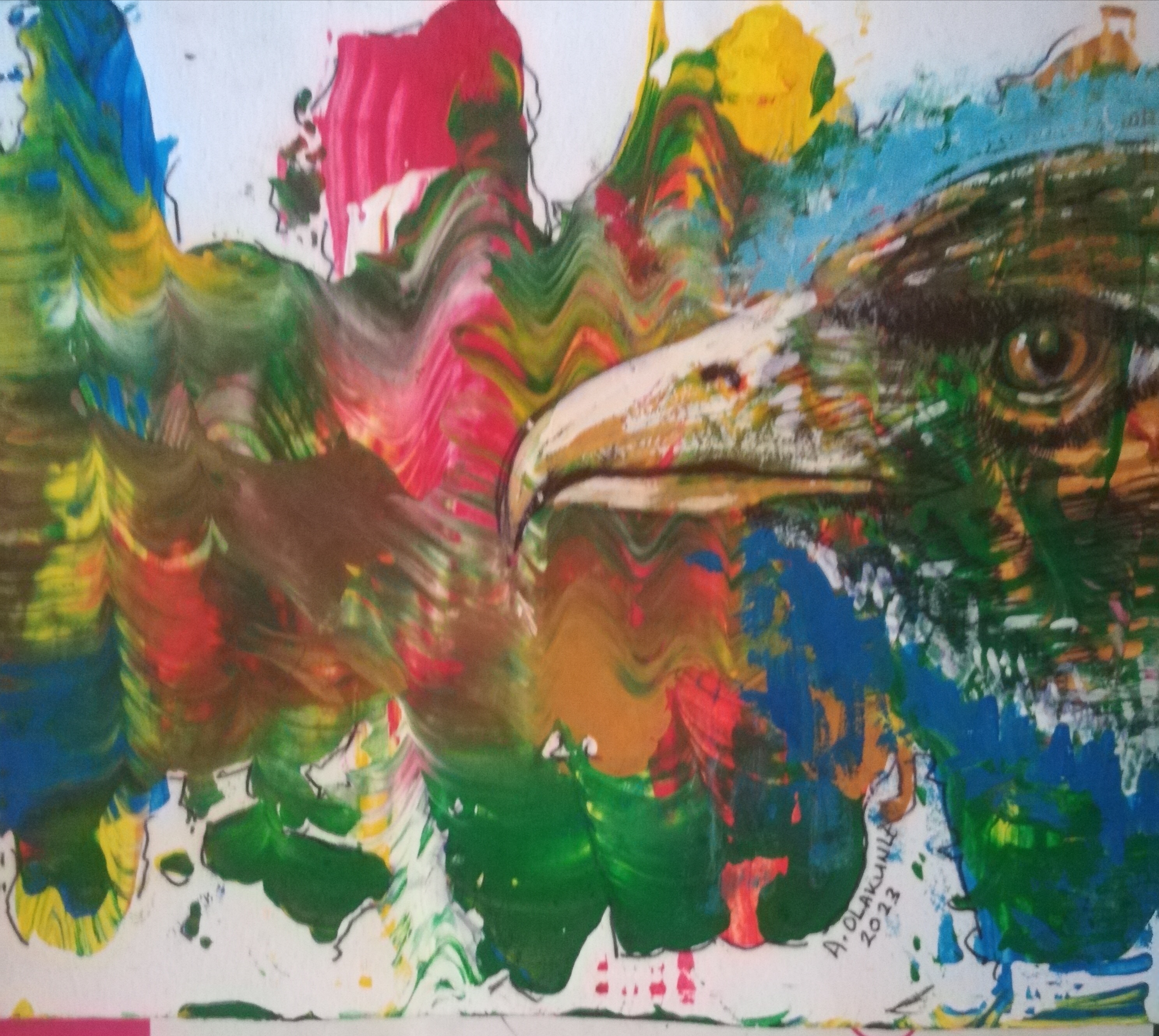 Asa (Hawk)